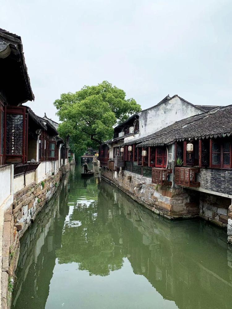 救援可爱的小丑